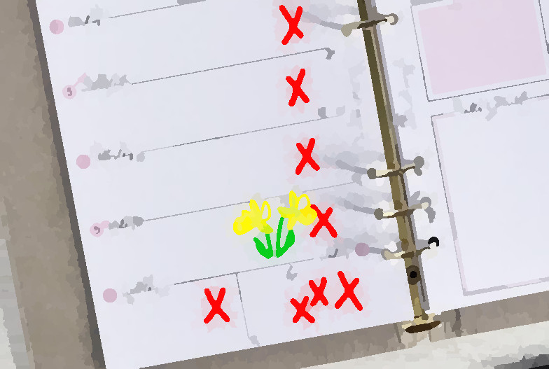 Background graphic for section 2:kisses_flowers_diary.jpg